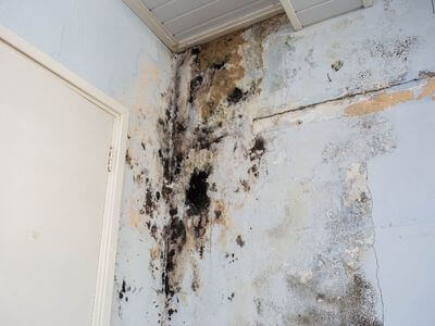 About water damage cleanup - ceiling water damage repair experts in Dallas